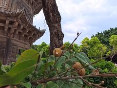 -辛庄国际文化艺术区