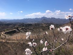 -蟠龙山长城景区