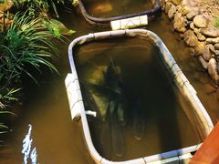 -万景饭店·鱼街农家菜