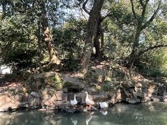 -兰亭风景区
