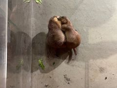 -正佳雨林生态植物园