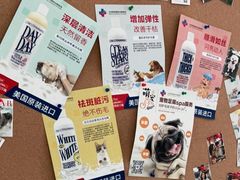 -欧奕国际动物医院