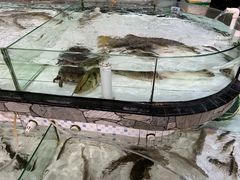 -沙田台山海鲜·酣客酒窖