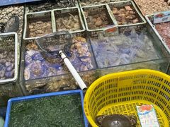 -锐记美食店·现捞海鲜(闸坡店)
