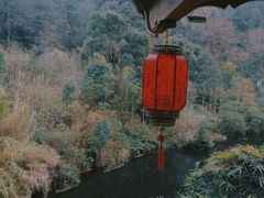 -阿哈湖国家湿地公园
