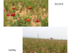 -东戴河风景区-止锚湾