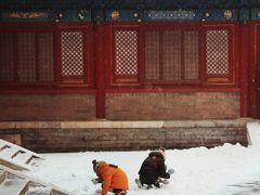-故宫博物院(故宫)
