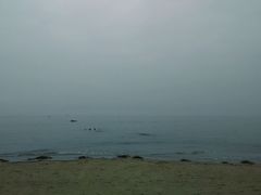 android_upload_pic-白城沙滩