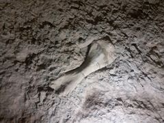 -世界恐龙谷景区