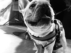 -天瑞福云南过桥米线(十里河店)