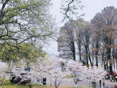 -鸡鸣寺