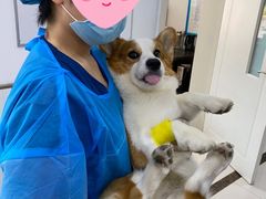 -派美特宠物医院·核磁CT·骨科肿瘤·疑难转诊(沈农禾丰店)