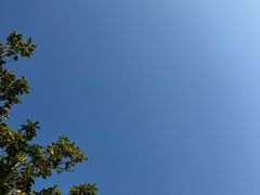 -洋湖国家湿地公园