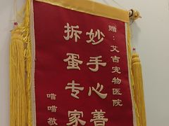 -艾吉宠物医院·疑难杂症转诊中心·猫友好(碧江路院)