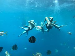 -瑞德姆美人鱼海底演艺主题餐厅(亚龙湾店)