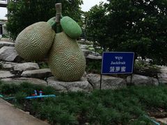 -东芭乐园