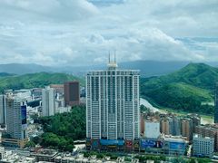 -君悦酒店·大堂酒吧·高空下午茶·暮色微醺