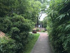 -望江楼公园