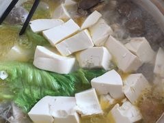 -15年老字号鑫鑫猪肚鸡·椰子鸡海南火锅(兴隆华侨农场店)