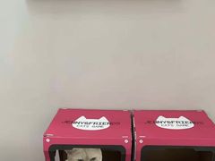 -静宜和她的朋友(星海广场店)