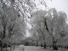 -庐山风景区花径公园
