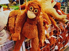 -宜家家居(四元桥商场店)