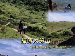 -大姆山草场