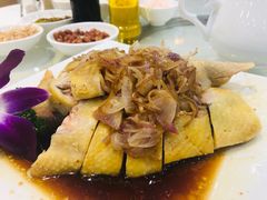 -金瑞轩大酒楼·顺德鱼生·粤菜海鲜(东江国际店)