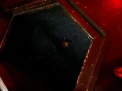 -E+有冰工厂·昆仑寒宫2(五角场店)