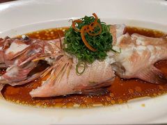 -宝燕壹号景观餐厅(龙盛国际商业广场店)