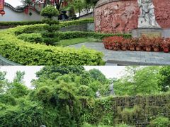 -广州神农草堂中医药博物馆