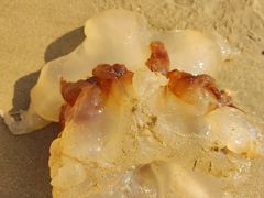 -东戴河风景区-止锚湾