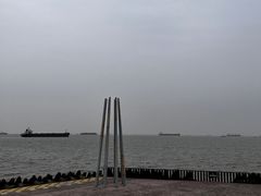 -上海滨江森林公园