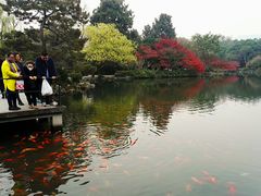 -西湖外事游船(花港观鱼码头)