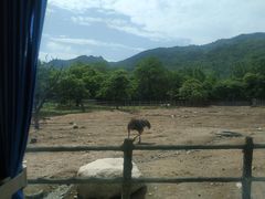 -西安秦岭野生动物园