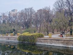 -元大都城垣遗址公园