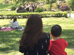 -大塘金香草谷
