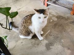 -水先生寧波菜(天一店)