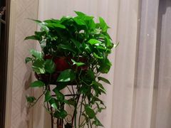 -香丰阁·烤鸭·川湘菜(昌平店)