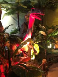 -恐龙探索乐园(磁器口店)