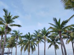 -三亚西岛海洋文化旅游区