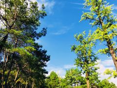 -Club Med地中海俱乐部·桂林度假村