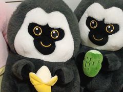 -畹町(公益西桥华联店)