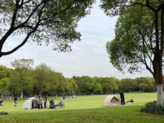 -上海吴淞炮台湾国家湿地公园