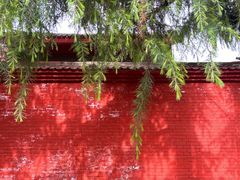 -洛阳白马寺
