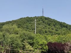 -合肥野生动物园