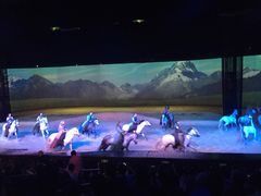-cavalia·舞马