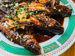 红烧昂刺鱼-洞天食府(北大街店)