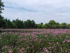 -歌斐颂巧克力小镇