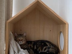 -Catmate·猫肥家润(金润铂宫店)